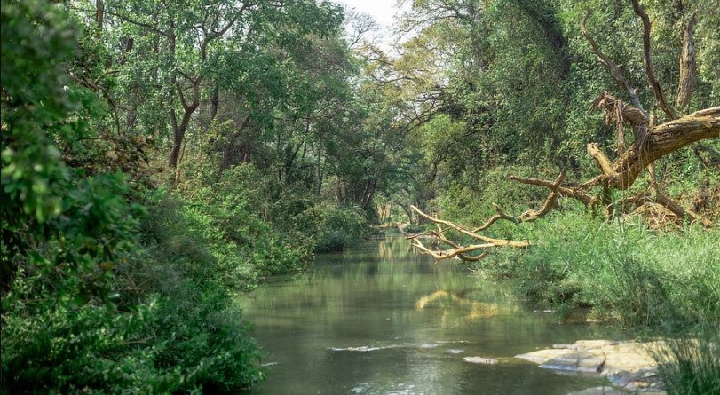 Lilongwe Wildlife Centre, Lilongwe, Central Region, Malawi